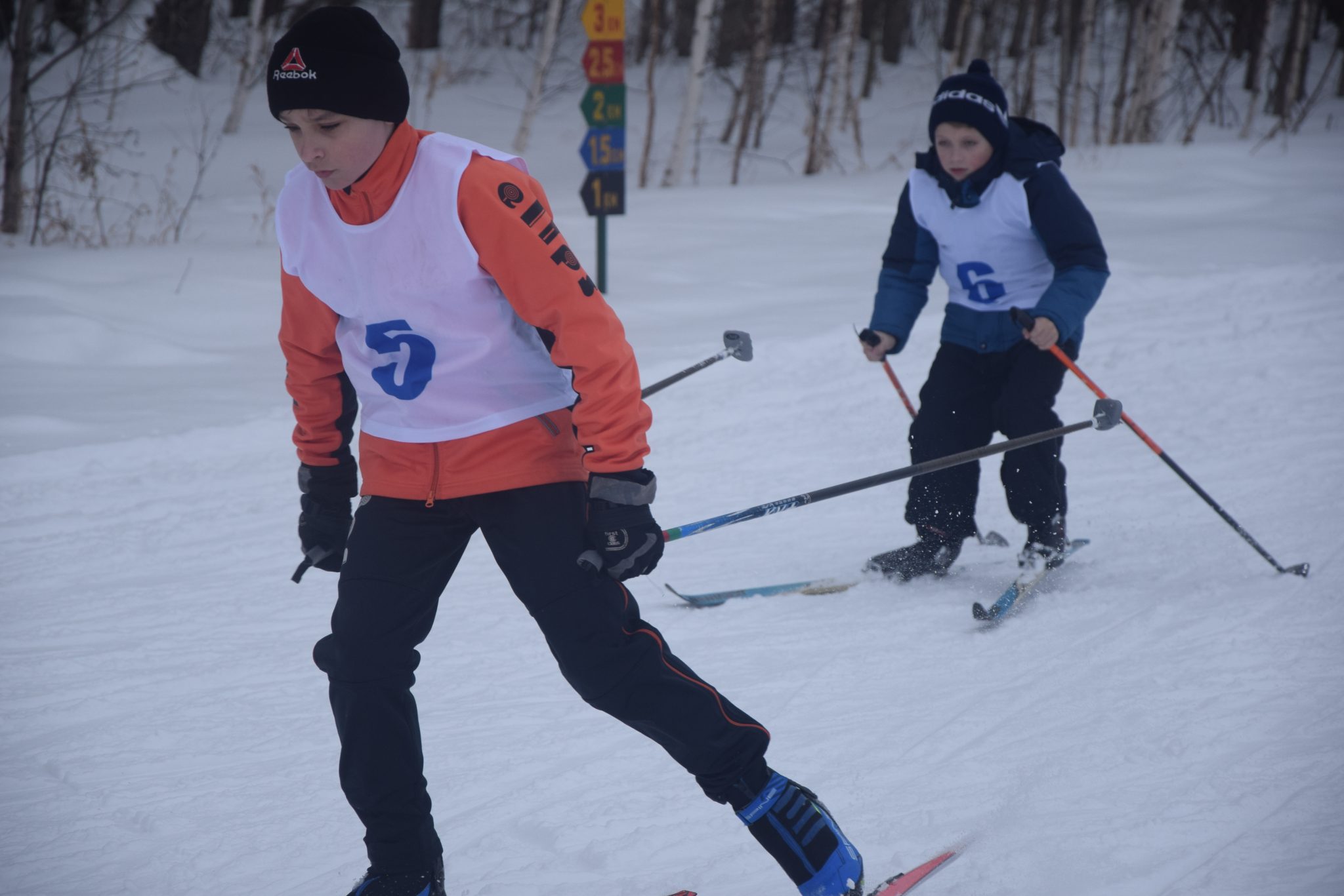 Лыжники Барабинский район 2013