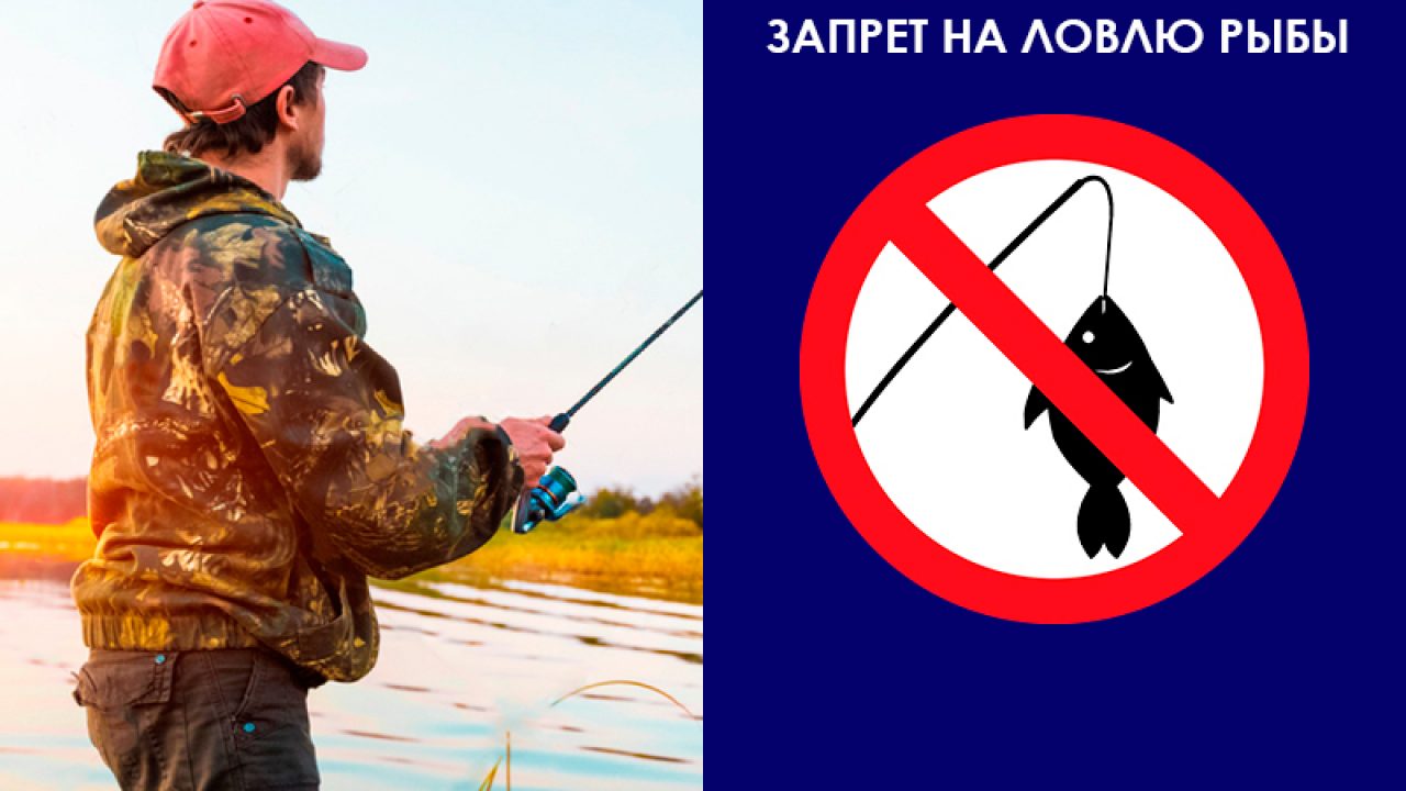 О запрете ловли рыбы