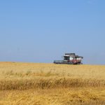 Новосибирская область расширит площадь земель сельхозназначения