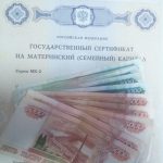 До 10 лет лишения свободы за нецелевое использование маткапитала