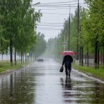 У природы нет плохой погоды?