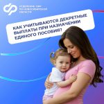 Как учитываются декретные выплаты при назначении единого пособия
