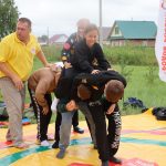 Капитаны дворов