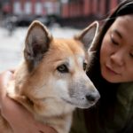 Закон об обращении с бездомными животными поставят под контроль