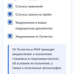 Уведомления об оказании госуслуг жители области теперь могут получать в МАХ