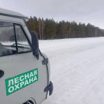 Инспектора лесоохраны усилили казачьи дружины