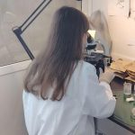 Рекордный страховой запас: Новосибирская область полностью обеспечена семенами для лесовосстановления