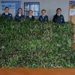 Завязали «галстучки» на удачу