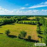 Вернули землю на 200 миллионов