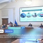 Пожароопасный сезон в Новосибирской области проходит спокойно, несмотря на засушливое начало лета