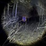 В Барабинском районе в ДТП погиб водитель грузовика