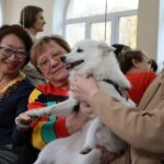 Собаки-«доктора», аргентинское танго и «Шаги здоровья»